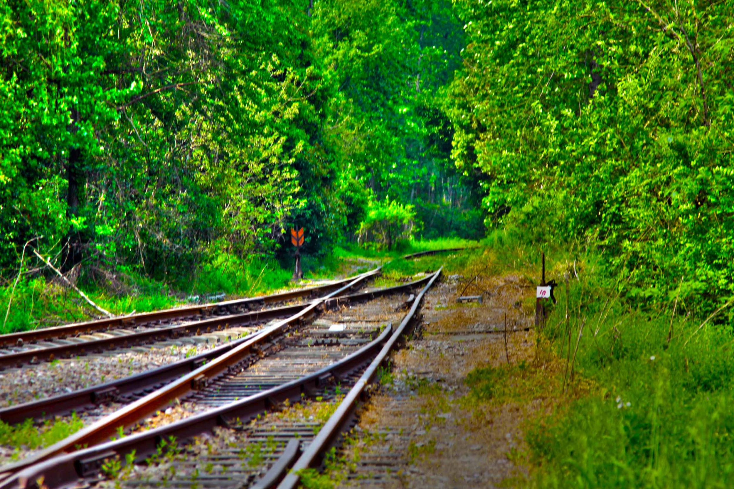 我省今年年內(nèi)有4條鐵路線投入運(yùn)營(yíng)更多出行選擇！