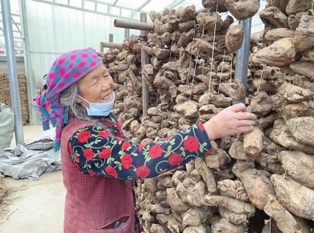 隴南：特色產(chǎn)業(yè)托起致富夢(mèng)