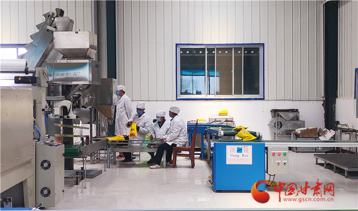 【甘肅省決戰(zhàn)決勝脫貧攻堅】張掖：金花寨小米成品牌 旱田農業(yè)種出“鐵桿”莊稼