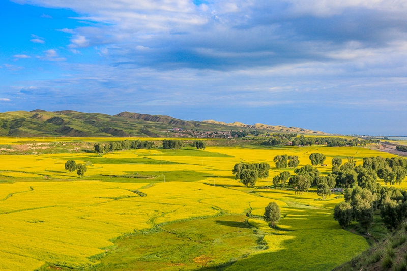 創(chuàng)意海報丨甘肅的美，你來了才知道