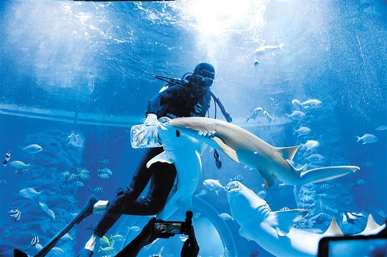 蘭州海洋公園 金昌火星1號(hào)基地 這個(gè)暑假我們“上天入?！?>
        </a><em>蘭州海洋公園 金昌火星1號(hào)基地 這個(gè)暑假我們“上天入?！?/em></li>
    <li><a  target=