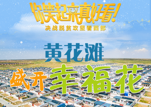 【你笑起來真好看】黃花灘盛開幸?；ǎ▓D解）