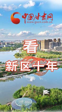 圖解|崛起！新區(qū)十年