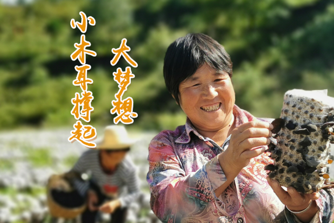 海報(bào)丨他們，乘“豐”破浪！