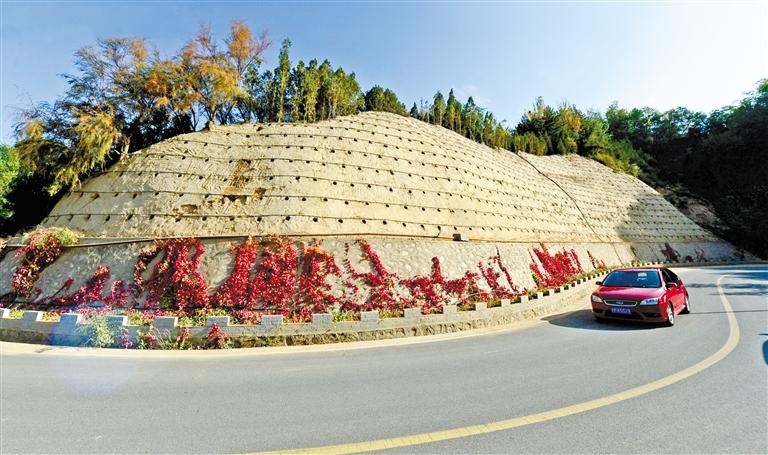 近90度陡坡上種樹！蘭州南北兩山綠化出新招