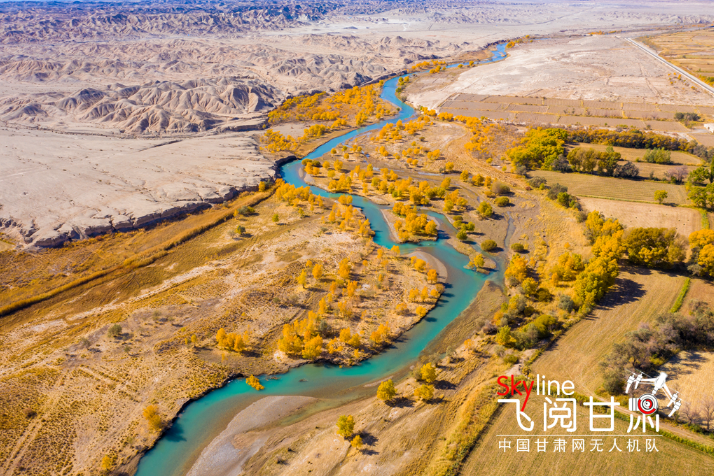 【飛閱甘肅】好美！疏勒河畔大地斑斕