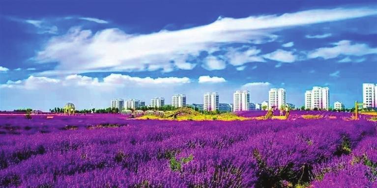 “三連冠”！金昌蟬聯(lián)全國文明城市