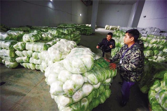 蘭州市已儲備1萬噸冬春蔬菜 以耐貯存、易周轉(zhuǎn)品種為主