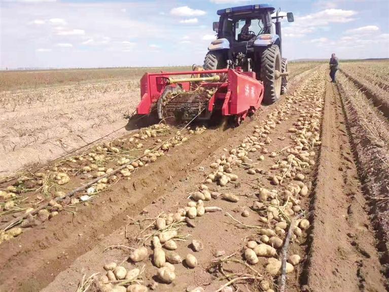 土橋不“土”立潮頭——臨夏縣土橋鎮(zhèn)實施農(nóng)業(yè)產(chǎn)業(yè)結(jié)構(gòu)優(yōu)化升級見聞