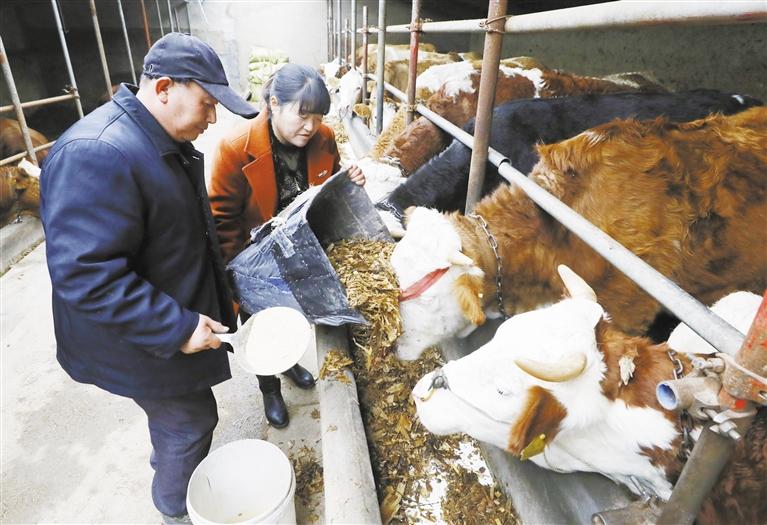 我和我的家鄉(xiāng)丨定西臨洮縣黨家墩村：“?！碑a(chǎn)業(yè)帶來“?！比兆?>
        </a><em>我和我的家鄉(xiāng)丨定西臨洮縣黨家墩村：“?！碑a(chǎn)業(yè)帶來“?！比兆?/em></li>
    <li><a  target=