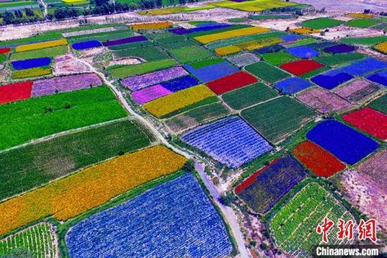 甘肅酒泉：除了天時(shí)地利，還有一“種”力