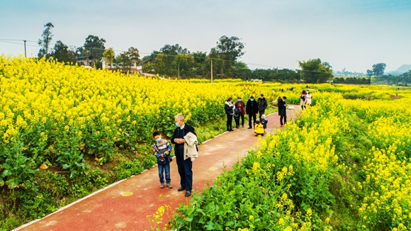 游客在花海里踏青。廖濤 攝