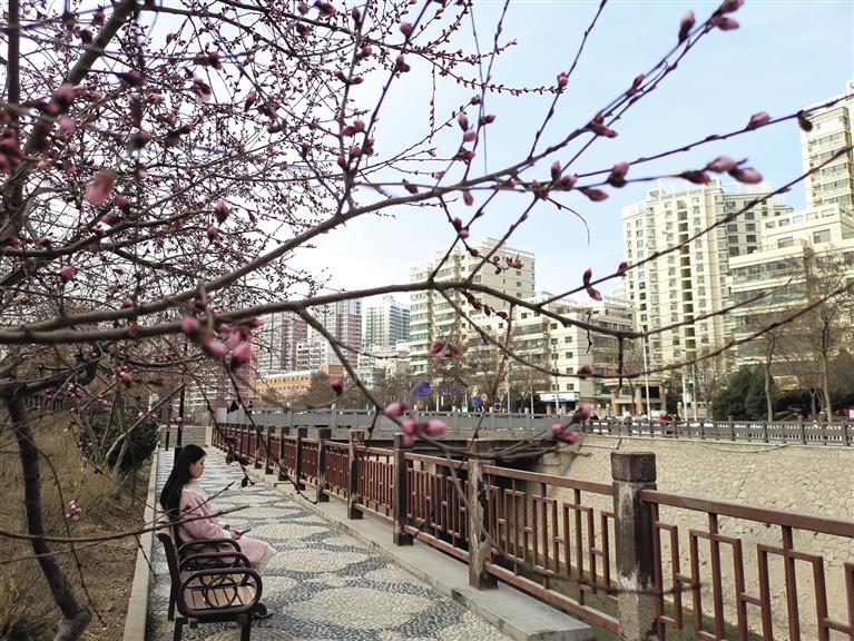 蘭州“第一朵花”開了！