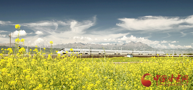 坐上火車“邂逅”春天，你可以這樣享“鐵路游”