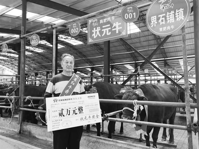 120頭“平?jīng)黾t?！膘o寧爭霸