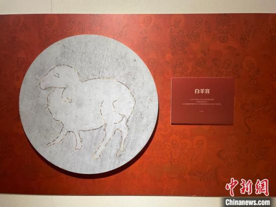 圖為展覽現(xiàn)場。　江楊燁 攝