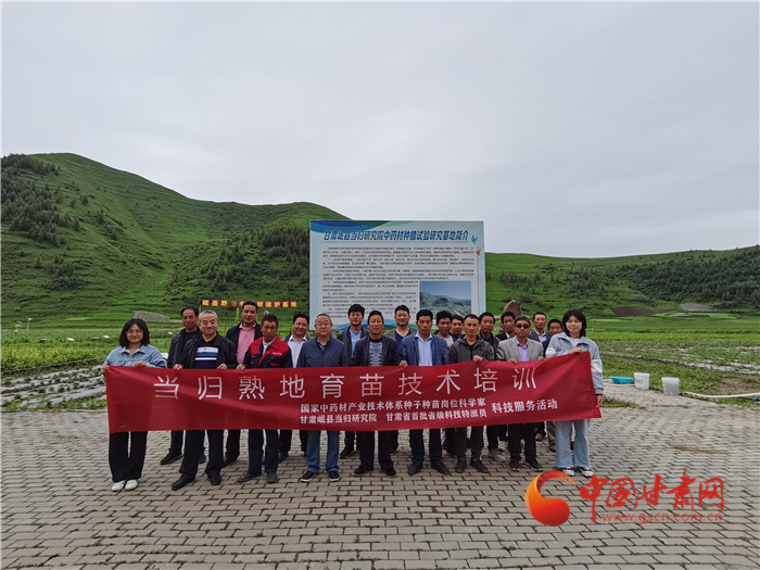 定西岷縣：當(dāng)歸熟地育苗培訓(xùn)到田間“輕簡化”耕種增效益