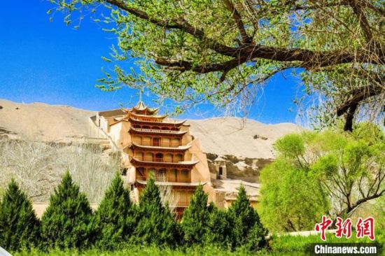 4月的敦煌莫高窟景區(qū)春意盎然。(資料圖) 王斌銀 攝