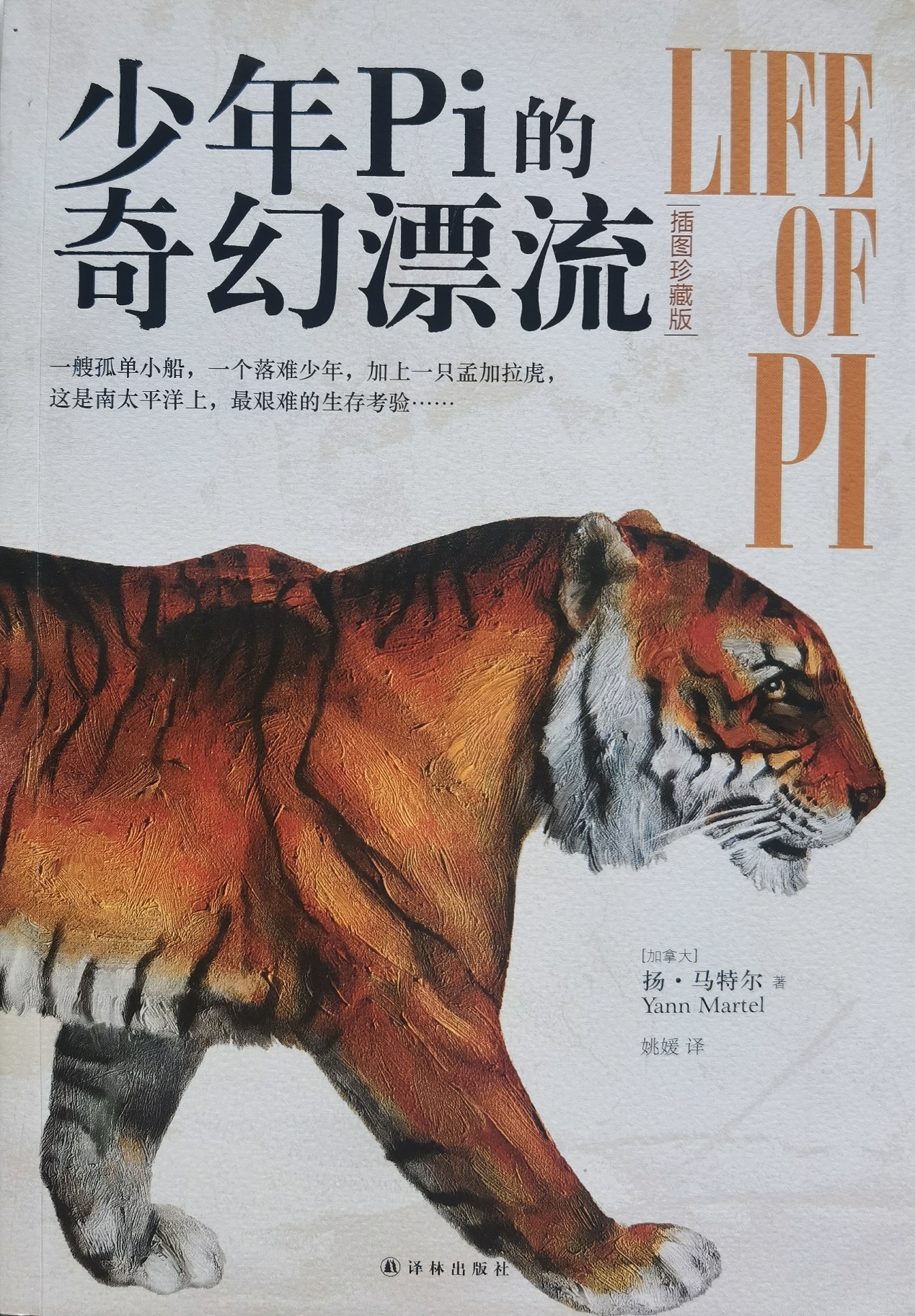 插圖1：揚(yáng)？馬特爾的小說《少年pi的奇幻漂流》封面