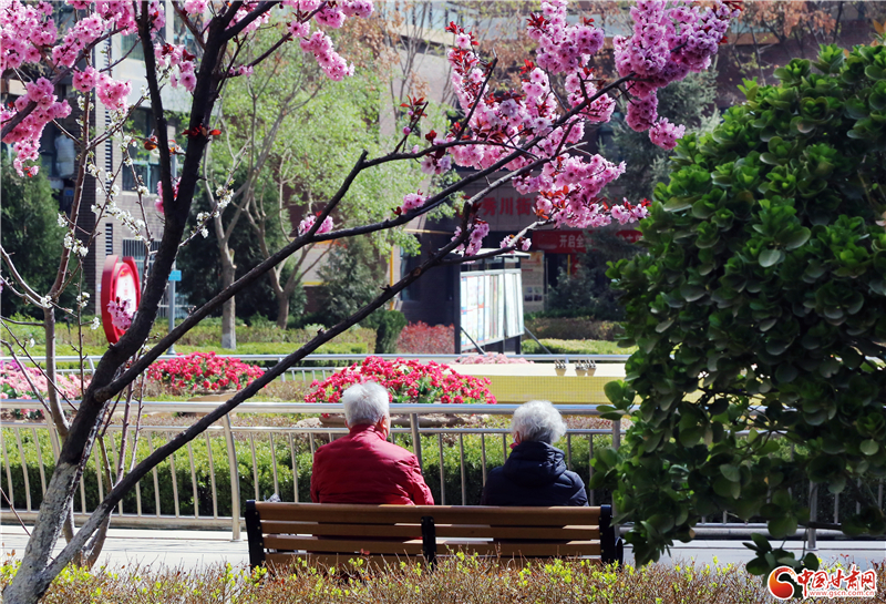 【疫情防控 甘肅在行動】堅(jiān)守19天 蘭州銀灘花園“疫”戰(zhàn)全勝