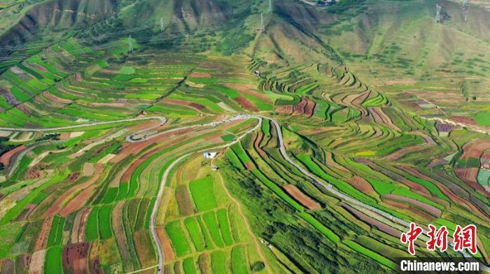 秋日里，榆中縣馬坡鄉(xiāng)千畝梯田，不同農(nóng)作物漸趨成熟，呈現(xiàn)出多種色彩，宛若大地的“調(diào)色盤”。　劉曉波 攝