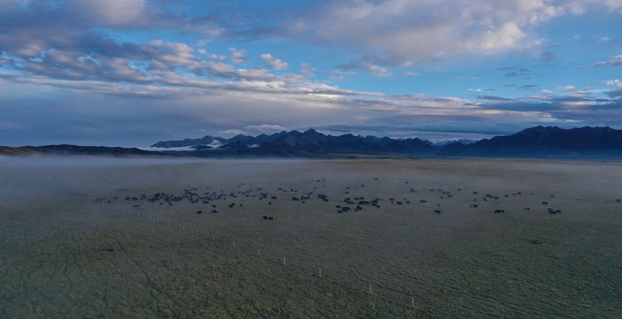 甘肅山丹馬場：峽谷云霧似仙境。 王超攝