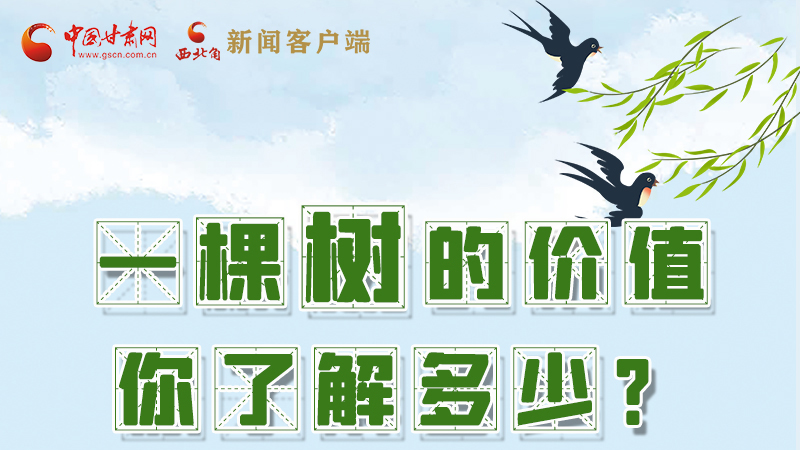 圖解|一棵樹的價(jià)值你了解多少?來看！