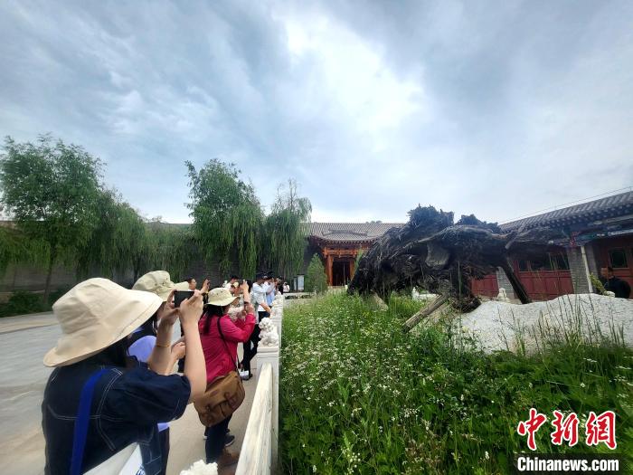 圖為媒體記者在青海永錄民俗參觀采訪?！⊙Φ?攝