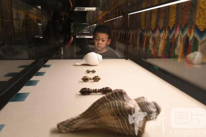 圖為展出的“白海螺法器”吸引小觀眾。 中新社記者 戴文昌 攝