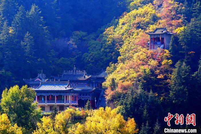 深秋，位于蘭州市榆中縣的興隆山景色如畫。宮衛(wèi)紅 攝