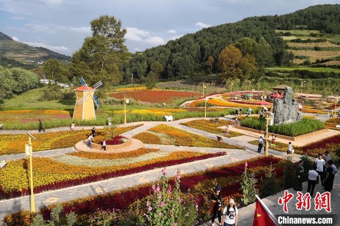 圖為航拍甘肅甘南臨潭縣八角鎮(zhèn)，花海吸引游人。(資料圖)高展 攝