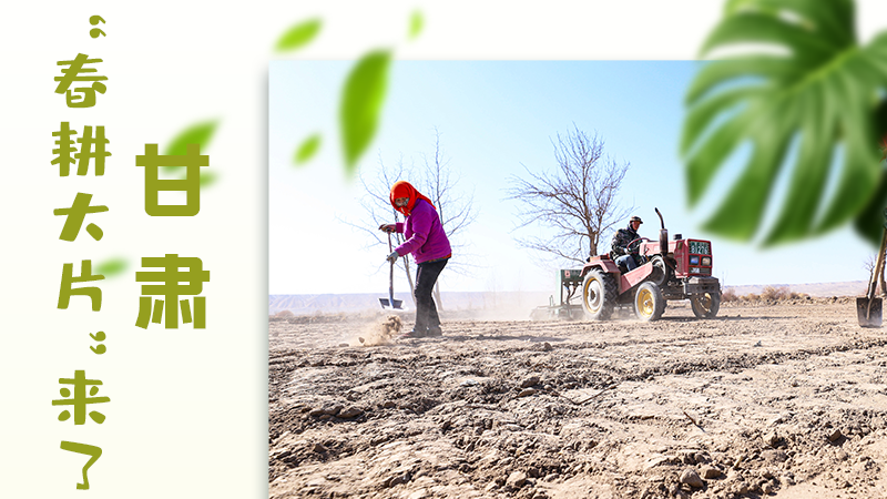 【甘快看】海報|瞧！甘肅“春耕大片”來了