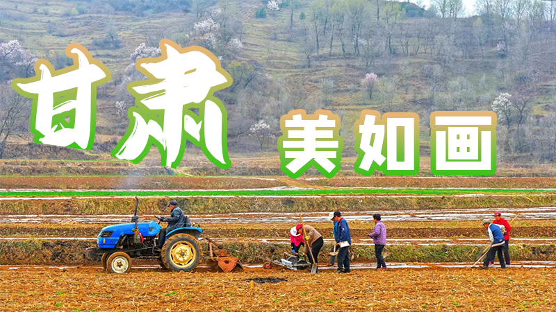 微海報(bào)|甘肅，美如畫