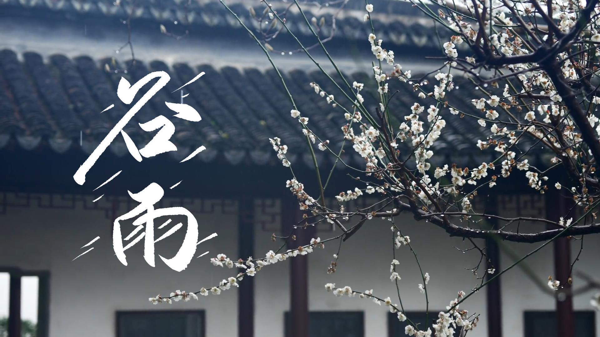 【節(jié)氣里的大美甘肅】谷雨，春天的最后一次回眸