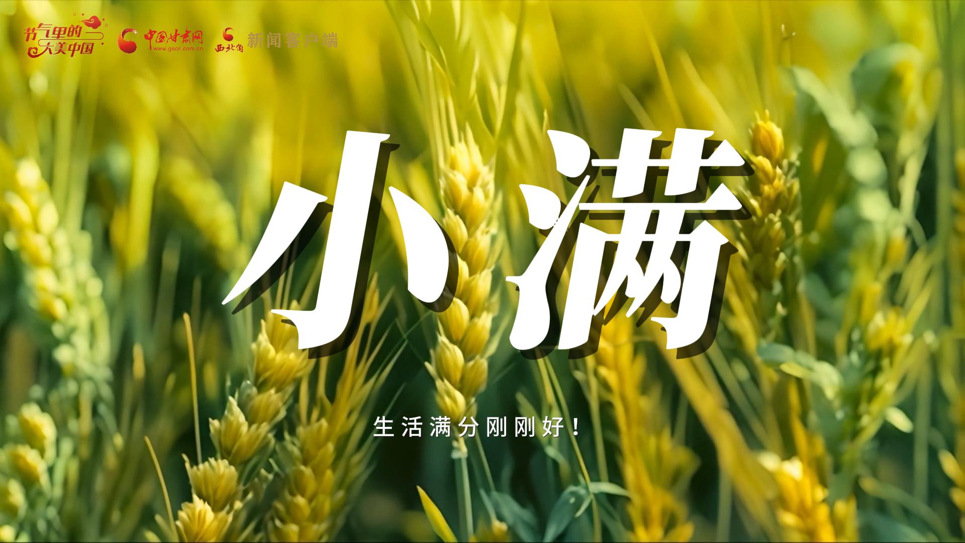 【節(jié)氣里的大美甘肅·小滿】生活滿分剛剛好！