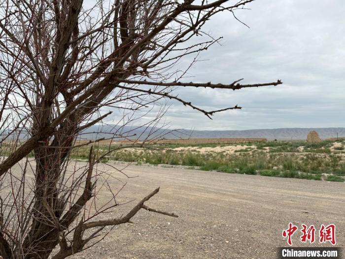 圖為位于長(zhǎng)城墻體上的“馬面”或“敵臺(tái)”?！〈魑牟?攝