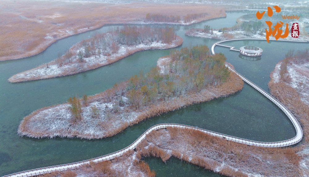 張掖：瑞雪迎新年 濕地分外美