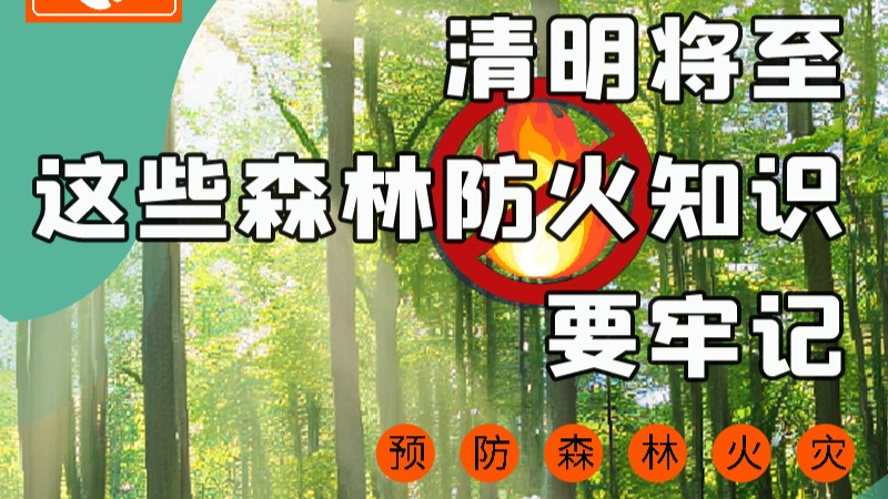 【甘快看】圖解|緊繃“安全弦”！清明，這些森林防火知識要牢記