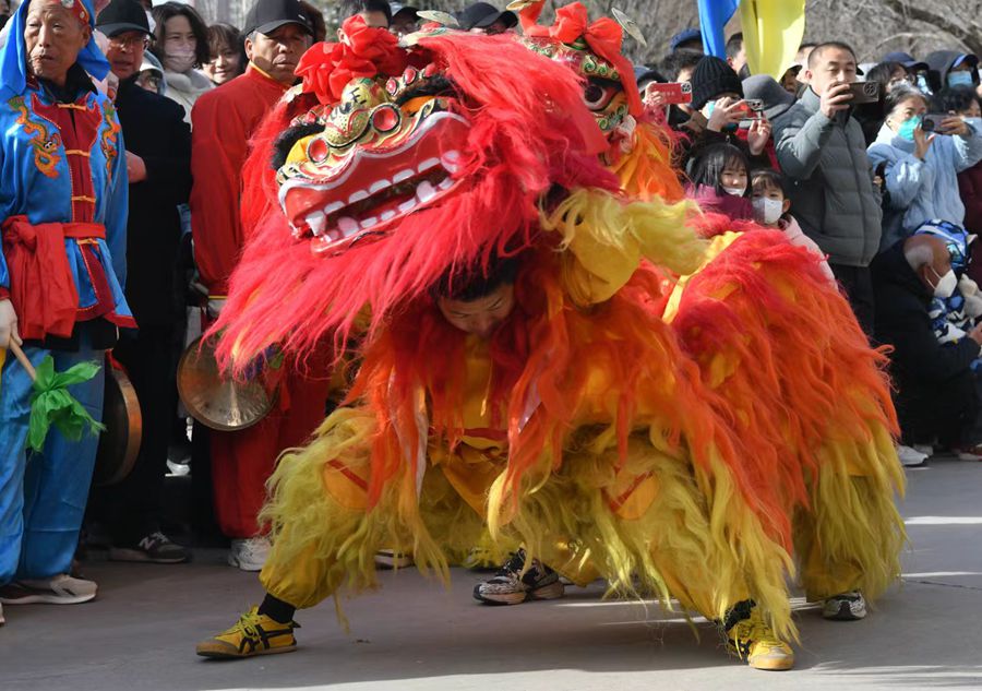 蘭州北獅表演現(xiàn)場。受訪者供圖
