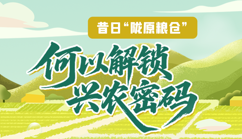 【理響中國(guó)·話隴點(diǎn)睛（3）】昔日“隴原糧倉(cāng)”，何以解鎖“興農(nóng)密碼”