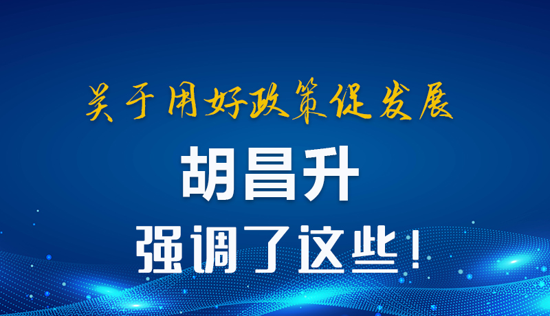 圖解|關(guān)于用好政策促發(fā)展 胡昌升強調(diào)了這些！
